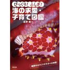  удивлен!...! море. . love * воспитание детей иллюстрированная книга / звезда ..
