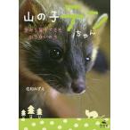  гора. . тонн Chan пустой из падение .. маленький .. ./. мир ...