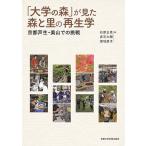 [ университет. лес ]. видел лес ... воспроизведение . Kyoto . сырой * прекрасный гора .. пробовать / камень . правильный ./ красный камень большой ./ добродетель земля прямой .