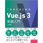  в дальнейшем впервые .Vue.js 3 практика введение / гора рисовое поле ..
