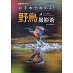 o рука шт. понимать! дикая птица фотосъемка ./BIRDER редактирование часть 