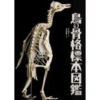 【条件付＋10％相当】鳥の骨格標本図鑑/川上和人/中村利和【条件はお店TOPで】