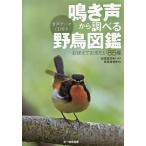  щебетать голос из проверить дикая птица иллюстрированная книга ...... хочет 85 вид / сосна рисовое поле дорога сырой /* звук ... добродетель 