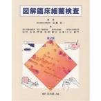  иллюстрация . пол маленький . инспекция 