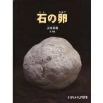  камень. яйцо / гора рисовое поле Британия весна / ребенок / книга с картинками 