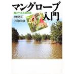  man перчатка введение море . сырой .. зеленый. лес / Nakamura ../ средний ... самец 