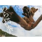 【条件付＋10％相当】のら猫拳/アクセント【条件はお店TOPで】