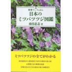  японский Mitsuba азалия иллюстрированная книга 