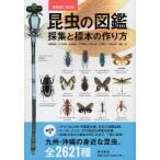  насекомое. иллюстрированная книга коллекция . образец. конструкция person Kyushu * Okinawa. . близко . насекомое, все 2621 вид / Fukuda . Хара / гора внизу осень толщина / Fukuda блестящий .