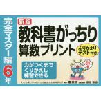 教科書がっちり算数プリント ふりかえりテスト付き 完全マスター編6年/原田善造