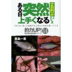  маленький было использовано рыбалка . есть день .. хорошо сделанный . становится карась tanago другой /. остров один прекрасный 