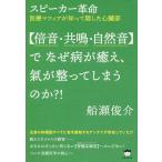 【条件付＋10％相当】〈倍音・共鳴・自然音〉でなぜ病が癒え、氣が整ってしまうのか？！　スピーカー革命　医療マフィアが知って隠した心臓部/船瀬俊介