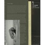 Cosmo-Eggs космос. яйцо 