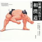  сумо дорога no. 70 плата ширина . день лошадь Fuji сборник изображений / день лошадь Fuji . flat / Хасимото .../. гора Kiyoshi мир 
