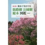  прогулка . видеть ... улица ..* парк .* садовое дерево иллюстрированная книга /. запад love 