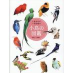 shi вместе один перо . искать маленькая птица. иллюстрированная книга / маленький . блестящий ./ дешево глициния ..