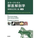  цвет Atlas .. анатомия сверху шт /HorstErichKonig/Hans-GeorgLiebich/ Япония .. анатомия . редактирование комитет 