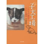 【条件付＋10％相当】子犬工場　いのちが商品にされる場所/大岳美帆【条件はお店TOPで】