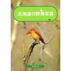 北海道の野鳥写真