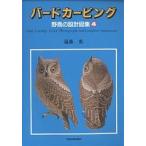  bird Carving дикая птица. проект map сборник 4/. глициния .