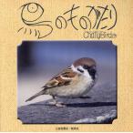  птица. было использовано ...Chatty Birds/. внутри ..