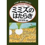  ушко (уголок) z.. . Lucky земля ...*...[ земля. насекомое ] EARTHWORM WORLD/ Nakamura . мужчина 