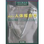  цвет тело человека анатомия структура . функция : микро из macro до /F.H.ma чай ni/ новый . хорошо .