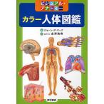  цвет тело человека иллюстрированная книга visual * дыра Tommy /je-n*da* балка g/ золотой .. Akira 