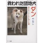 . трещина .. земля собака Dan видно нет .... видно . love /. утро .