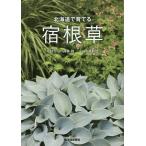 【条件付＋10％相当】北海道で育てる宿根草/北村真弓/高林初/工藤敏博【条件はお店TOPで】