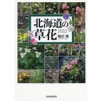  Hokkaido. . цветок / слива ..