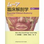  Moore . пол анатомия / Keith L. Moore / Anne M.R.aga-/ Arthur F.tei Lee 