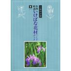  произведение пример описание .... материалы для цветочной композиции рука книжка лето 1/ Kudo мир .