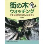 【条件付＋10％相当】街の木ウォッチング　オモシロ樹木に会いにゆこう/岩谷美苗【条件はお店TOPで】