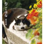 【条件付＋10％相当】ねことはな/岩合光昭【条件はお店TOPで】