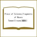 Piece of Colonne.Fragments of Waves/TamamiIinuma