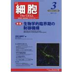  маленький .2026 год 3 месяц номер 