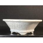  flat дешево Izumi гора белый цветок кристалл дерево . тип горшок ( маленький ) 5 номер 