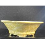  flat дешево Izumi гора желтый цветок кристалл дерево . тип горшок ( большой ) 5.5 номер 