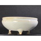  Хориэ прекрасный . белый . Marusan пара горшок 3.5 номер 