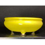  Хориэ прекрасный . желтый . Marusan пара горшок 3.5 номер 