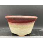  Хориэ прекрасный .. песок . Marusan пара горшок 2.5 номер (8.5cm)