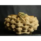  старая книга правильный .. гравюра . есть порез пара горшок 3 номер 