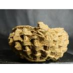  старая книга правильный .. гравюра . есть деформация порез пара горшок 3 номер 