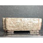  восток удача храм сосна .. длина person . порез пара горшок 3 номер 