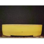 . сон желтый . маленький штамп порез . пара горшок 3.5 номер 