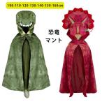  динозавр костюмированная игра манто динозавр костюм мульт-героя Halloween костюмы модный очень популярный ребенок Kids Junior манто мужчина девочка маскарадный костюм Halloween костюм симпатичный Chris 