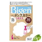 ホーユー ビゲン ポンプカラー 詰替え用 2RB 明るいリッチブラウン
