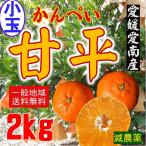 ショッピング甘平 【小玉】愛媛愛南産　甘平　２ｋｇ