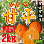 ショッピング甘平 【出荷開始】愛媛愛南産　甘平　良品　２ｋｇ